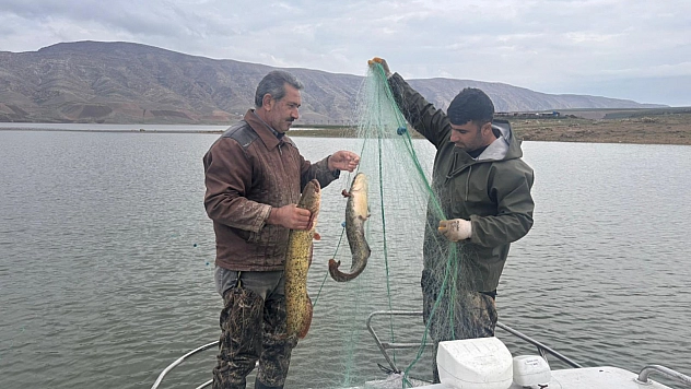 Fırat ve Dicle'nin kayıp genleri araştırılıyor...