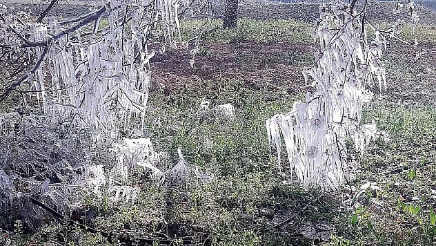 Fıskiyeleri açık unutunca…