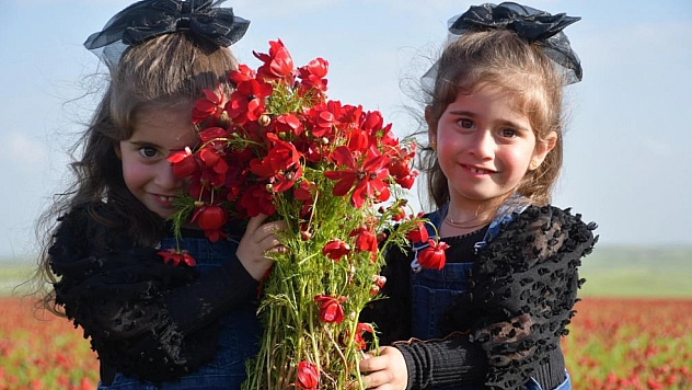 Gelincik tarlaları ziyaretçi akınına uğruyor
