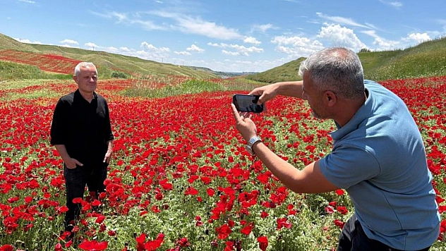 Gelinciklerle kaplanan tarla kartpostallık görüntü oluşturdu