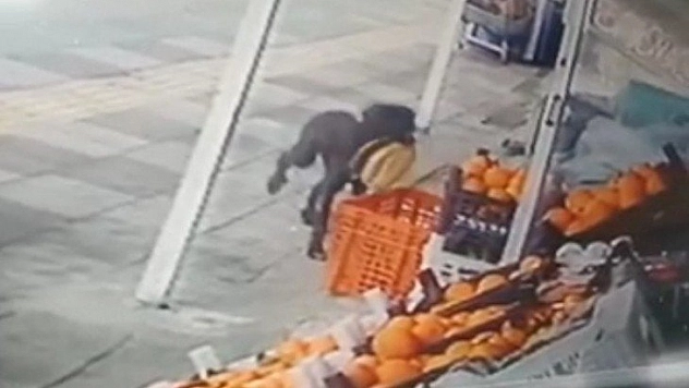Gerçek kamerada