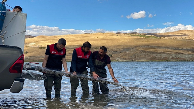Gölet ve barajlara 1 milyon sazan yavrusu bırakıldı