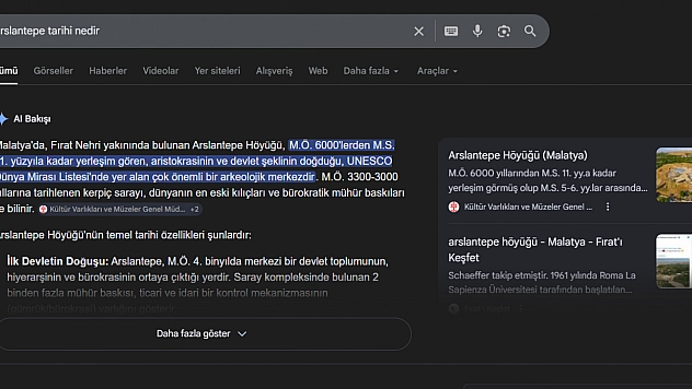 Google AI Bakışı'na Doğruluk ve 'İçerik Hırsızlığı' Eleştirisi