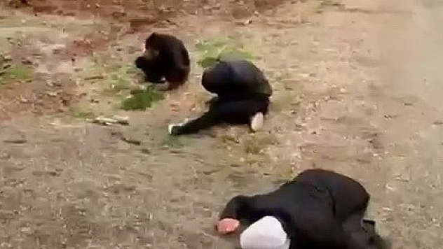 Görenler 'Öldü' sandı! Zehir batağındaki 3 genç bir anda yere yığıldı