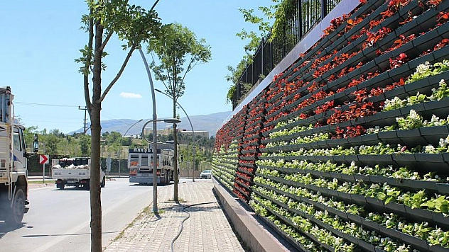 Güneşle aydınlatılıyor 