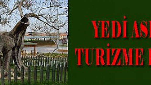Yedi asırlık çınar turizme kazandırıldı