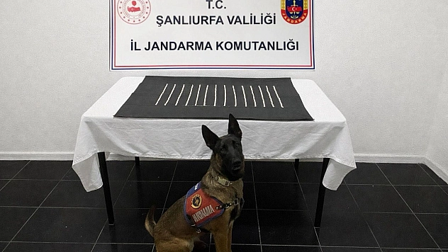 Harran'da uyuşturucu operasyonu: 2 gözaltı