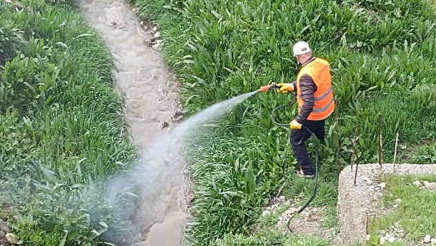 Haşerelere karşı ilaçlama çalışmaları başladı