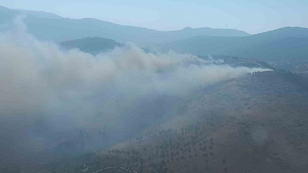 Hatay'da orman yangını