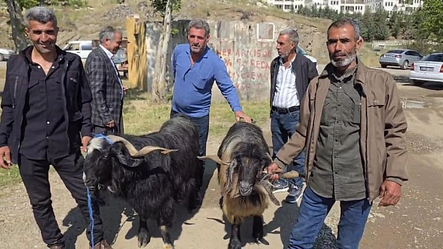 Hayvan pazarına ilgi arttı