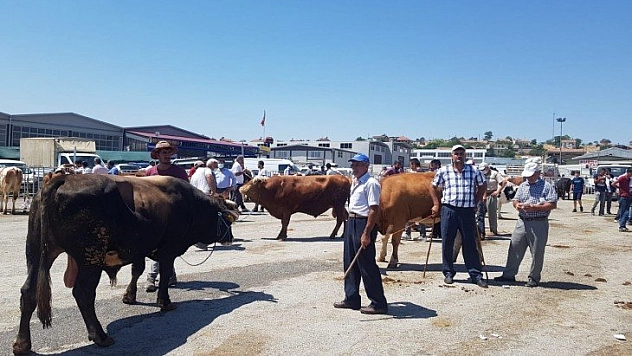 Hayvan pazarı harketli