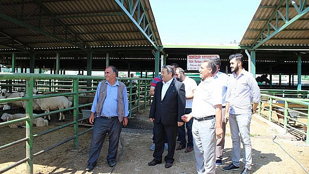 Hayvan pazarını gezdi