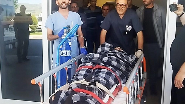 Hayvanlarını otlatırken ayı saldırısına uğradı