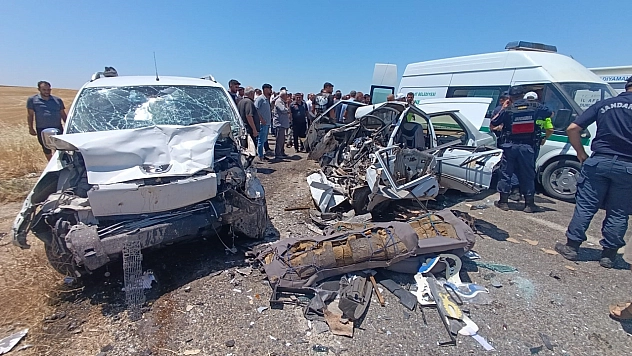 Hazar gölü etrafında 40 ton çöp toplandı