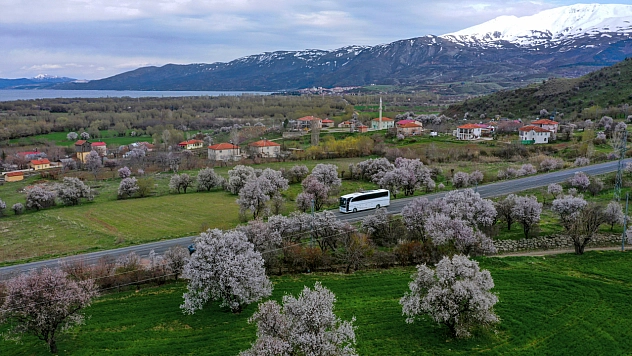 Hazar Gölü'nde badem çiçekleri ve karla kaplı dağlar aynı karede