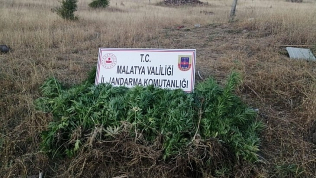 Uyuşturucu operasyonu