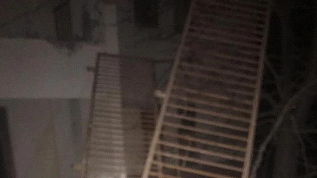 Hırsızlık iddiası
