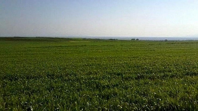 İcradan satılık tarla