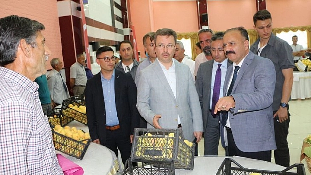 Iğdır kayısısı marka haline gelmiştir