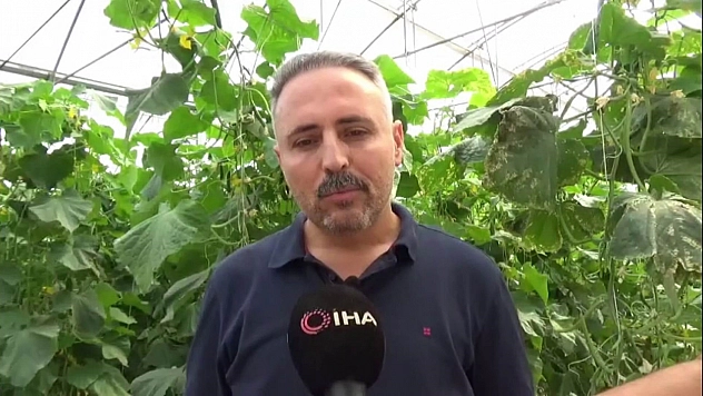 İlçesinde sera eksikliğini kendi imkanlarıyla giderdi