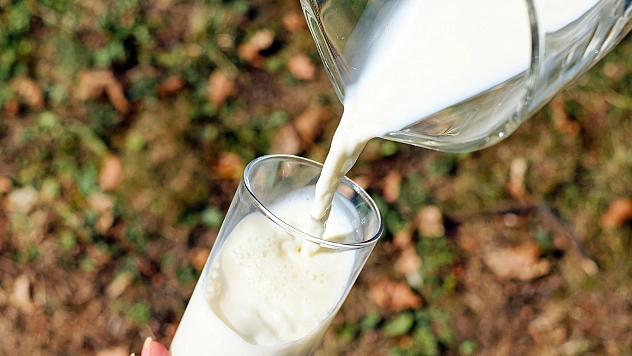 İnek sütü üretiminde kırmızı alarm!