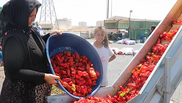 İsotun acı serüveni başladı