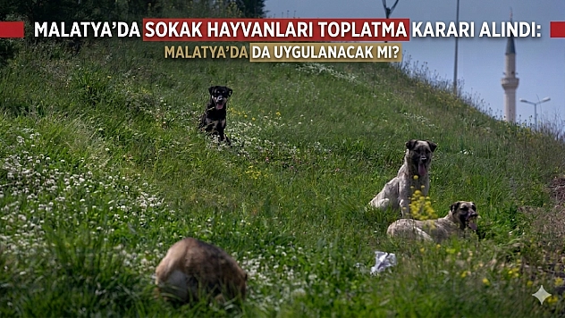 İstanbul Valiliği 'toplatma' kararı aldı: Malatya'da da uygulanacak mı?