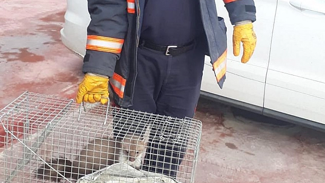 İtfaiye yakaladı