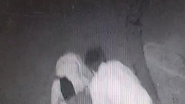 'Laf atma' cinayetinde görüntüler ortaya çıktı