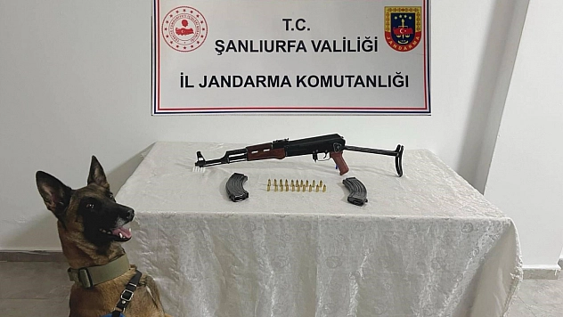 Jandarma'dan ruhsatsız silah operasyonu