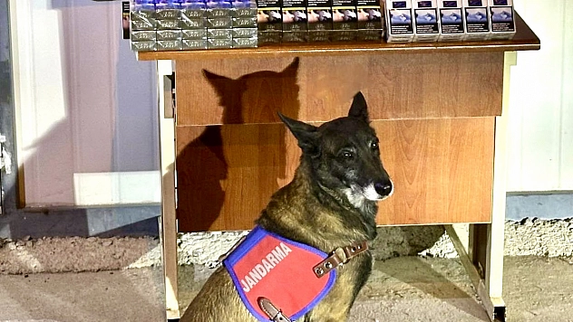 Jandarmadan kaçak sigara operasyonu: 800 paket ele geçirildi