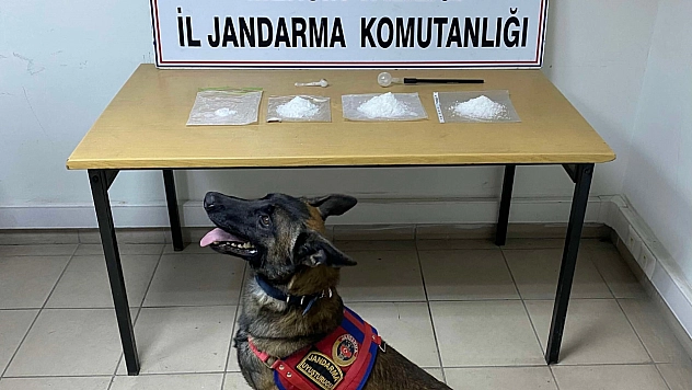 Jandarmadan uyuşturucu operasyonu
