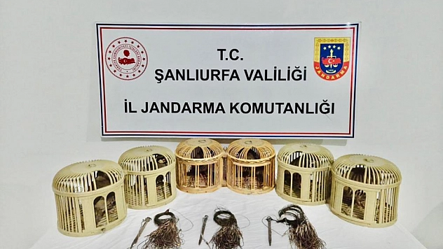 Kaçak keklik avcıları suçüstü yakalandı