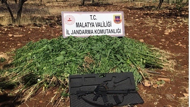 Kenevir ve silahlar