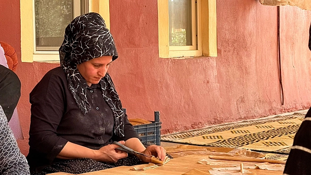 Kadınların üzüm pekmezli pestil mesaisi başladı