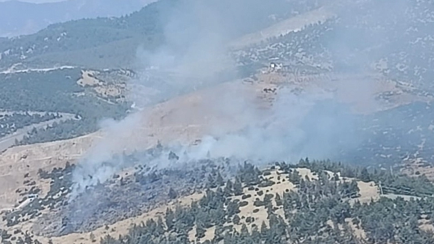 Kahramanmaraş'ta orman yangını