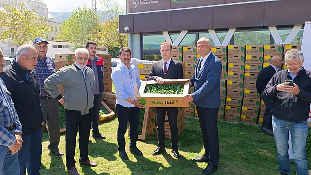 Kale'de çiftçilere sebze fidesi dağıtıldı