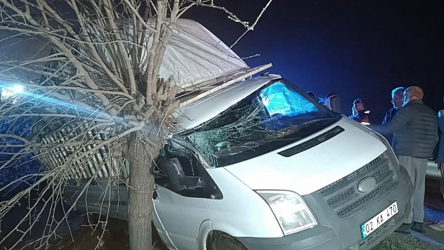Kamyonet ağaca çarptı: 1 yaralı