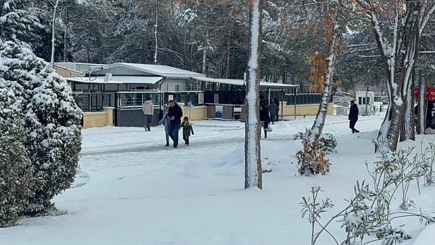 Kar yağışı çileye dönüştü