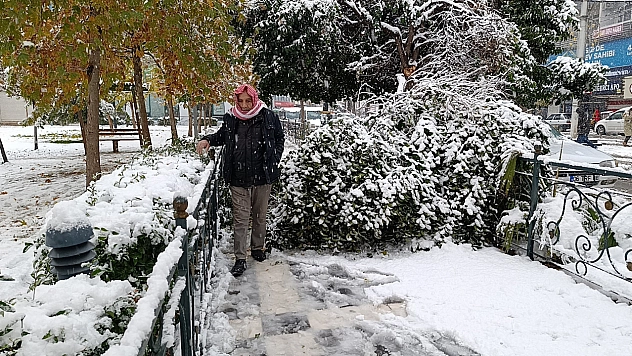 Kar yağışı nedeniyle ağaç devrildi