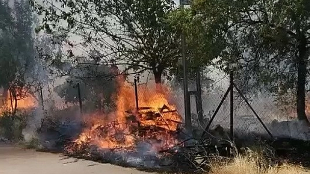 Karadağ Ormanlık alanda çıkan yangın korkuttu