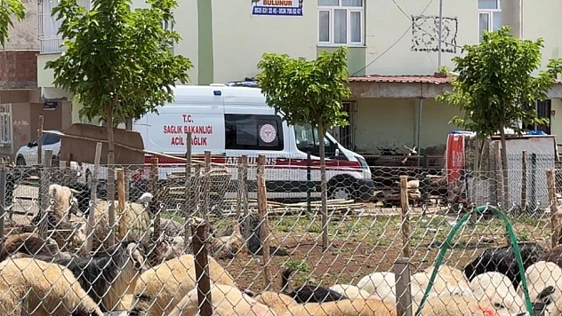 Kasaplardan bayram öncesi 'acemilik' uyarısı