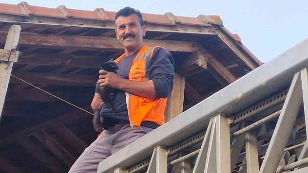 Kastamonu'da evin çatısında mahsur kalan kediyi itfaiye ekipleri kurtardı