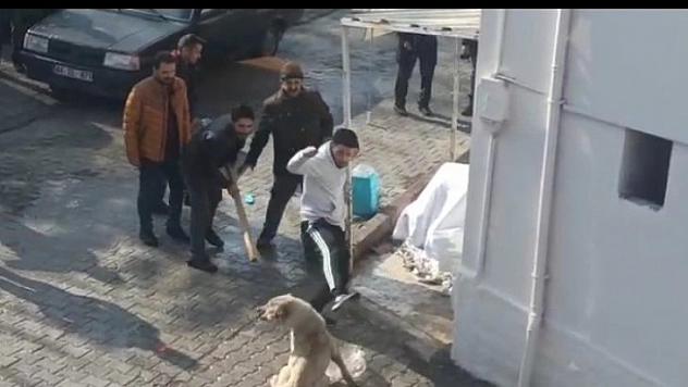 Köpeklere tekmeli müdahale