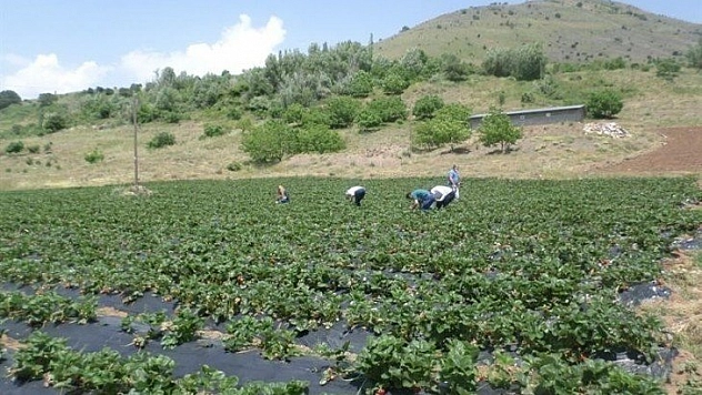 Sıcaklık düşecek