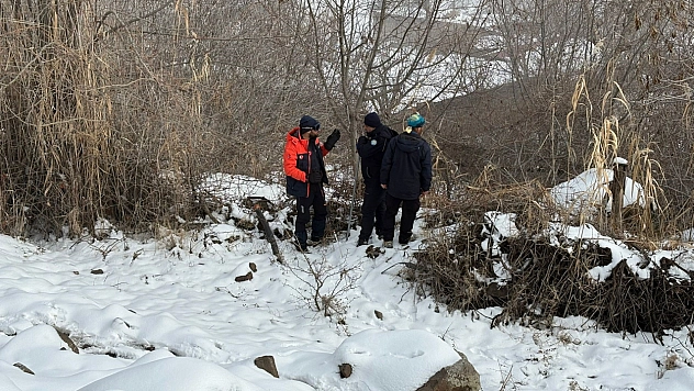 Kayıp kadın için seferberlik