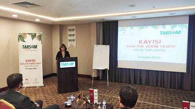 Kayısı analitik verim toplantısı