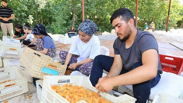 Bayram sonrası yoğun mesai