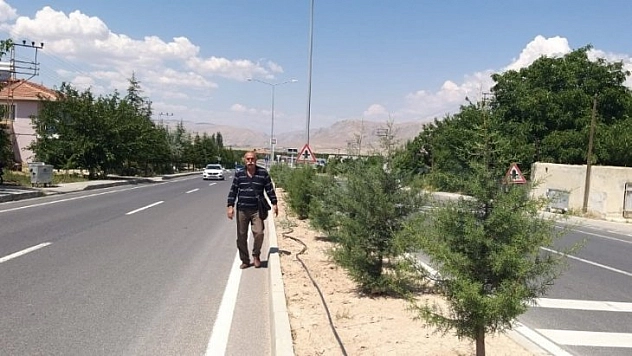 Kayısı için yola çıktı