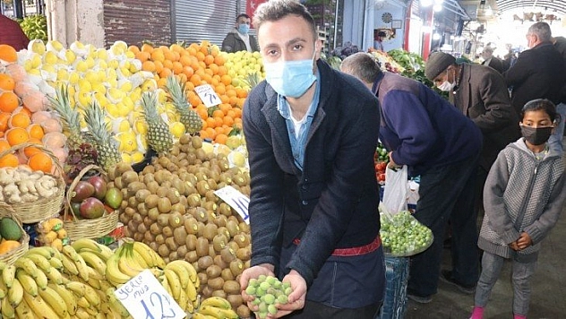 Malatya'da Mut kayısı satılıyor